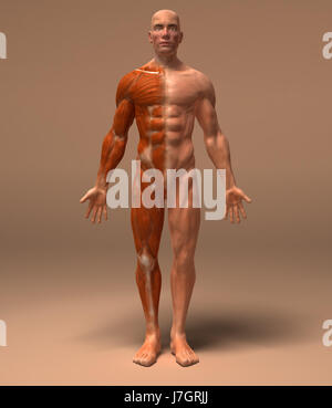 Istruzione salute sport sport medicalmente la scienza medica il motore del motore di azionamento Foto Stock