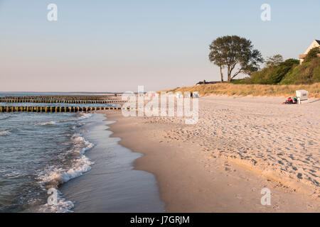 Spiaggia di Ahrenshoop, Meclenburgo-Pomerania Occidentale, Germania Foto Stock