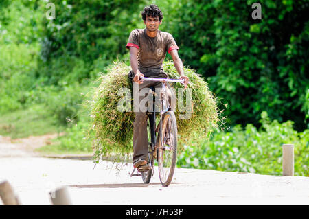 Khajuraho, India, 17 settembre 2010: il giovane uomo trasporta sulla sua bicicletta piante. Foto Stock