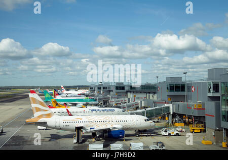 Piani su asfalto presso l'aeroporto di Gatwick - REGNO UNITO Foto Stock