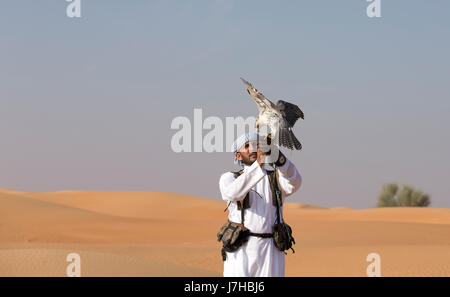 Dubai, UAE, Novembre 18th, 2016: Falconer formazione sua Falcon Foto Stock