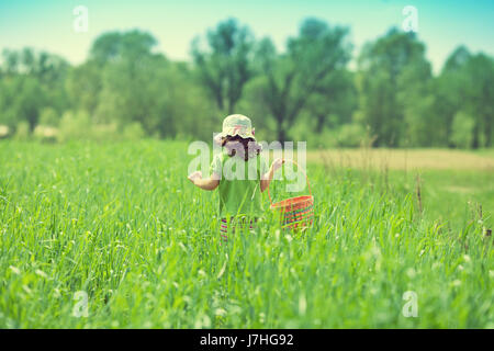 Poco ragazza camminare con Cesto picnic sul campo verde Foto Stock