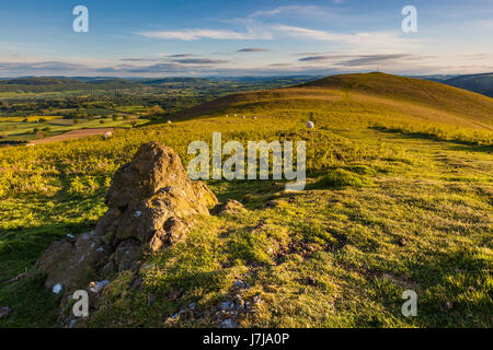 La vista su Ape Dale verso Wenlock Edge dalla cima della collina Ragleth, vicino a Church Stretton, Shropshire, Inghilterra Foto Stock