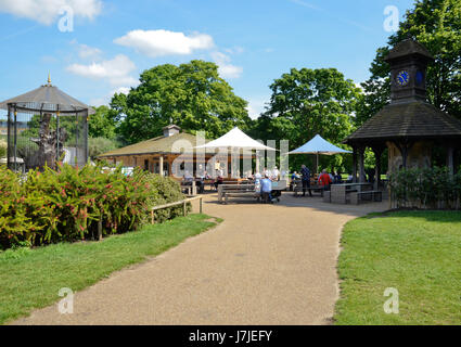 La vasta area a piedi da Kensington Palace Gardens a Londra Foto Stock