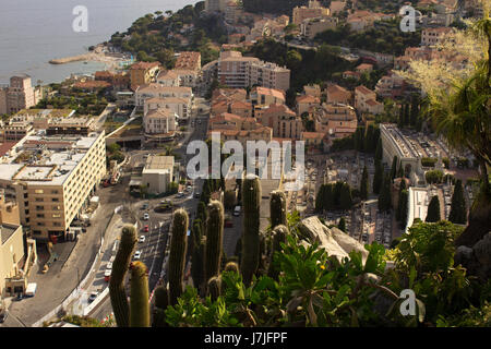 Il giardino esotico di Monaco, Jardin Exotique de Monaco: collezione di piante succulente e piante tropicali in cima alla roccia di Monaco, la città del sole Foto Stock