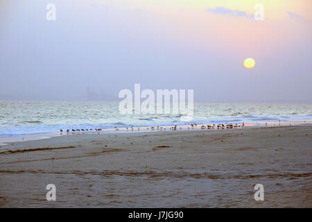 Tramonto sulla spiaggia di Salalah, Oman Foto Stock