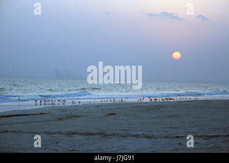 Tramonto sulla spiaggia di Salalah, Oman Foto Stock