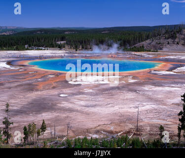 Grand Prismatic Piscina, parco nazionale di Yellowstone, Wyoming USA Foto Stock