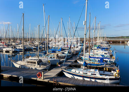 Yacht Marina a Troon, Ayrshire, in Scozia, Regno Unito Foto Stock