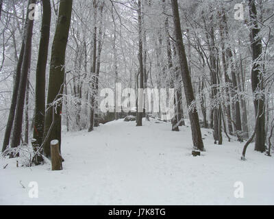 Si riferisce a un'immagine o a un record del 2010 relativo a Pfalz, una regione della Germania. Il titolo indica probabilmente un luogo, un evento o un riferimento storico di quell'anno associato all'area di Pfalz. Foto Stock