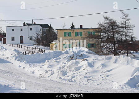 2011 Feb 12 22 TERRANOVA 044 rinnova (5453334172) Foto Stock