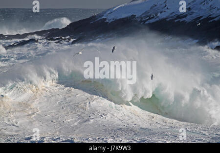 Questa fotografia, scattata il 12 febbraio 2011, mostra Cape Spear a Terranova, in Canada, dopo una tempesta, evidenziando la costa frastagliata e le drammatiche condizioni post-tempesta. Foto Stock