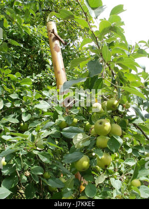 Questa fotografia o documento probabilmente raffigura un'immagine o un evento relativo al confine (Grenze) a SaarbrÃ¼cken, Germania, il 6 luglio 2011. Fornisce un contesto storico sulla geografia dell'regionÂ o su un evento verificatosi in quel periodo, concentrandosi sull'intersezione dei confini o su specifici sviluppi locali a SaarbrÃ¼cken. Foto Stock
