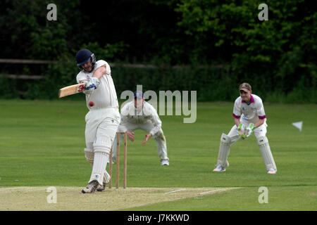 Università sport, UK - Men's cricket Foto Stock