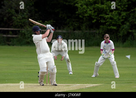 Università sport, UK - Men's cricket Foto Stock