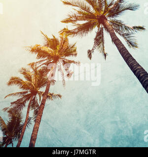Coconut Palm Tree sulla spiaggia in estate con effetto vintage. Foto Stock