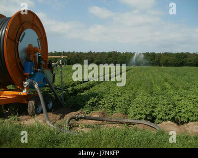 La fotografia del 2012 "FeldbewÃ¤sserung Hockenheim" raffigura il processo di irrigazione dei campi a Hockenheim, in Germania. L'immagine evidenzia l'uso delle tecniche agricole nella manutenzione e nell'irrigazione dei campi, con particolare attenzione alle moderne pratiche agricole della regione. Foto Stock