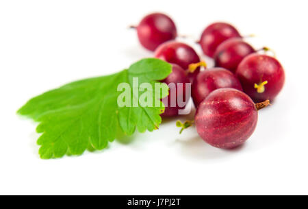 Ribes rosso isolato su uno sfondo bianco.Macro shot. Bacche mature e foglia verde. Foto Stock