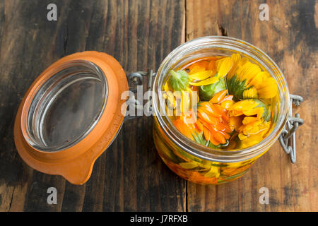 Olio di Calendula in un recipiente su un rustico sfondo di legno. Foto Stock