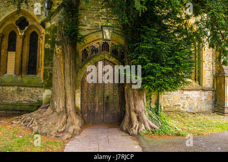 St Edward Chiesa parrocchiale - La porta nord fiancheggiata da alberi di tasso Foto Stock