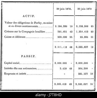 Il presente documento si riferisce ai bilanci o ai bilanci della compagnie des Mines de Ferfay per gli esercizi che terminano il 30, 1878 e 1879 giugno. Fornisce informazioni sulle condizioni economiche e sulle operazioni della società mineraria durante tale periodo. Foto Stock
