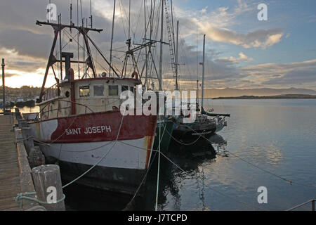 Il titolo si riferisce probabilmente a una fotografia o a un documento del 18 novembre 2009, che potrebbe catturare un evento storico o significativo o un momento a partire da tale data. Foto Stock