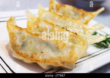 Gyoza giapponesi o Gnocchetti fritti sulla piastra bianca con il fuoco selettivo punto Foto Stock