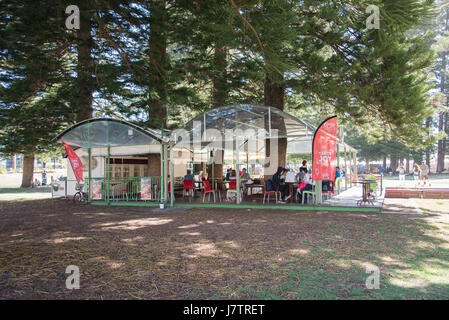 Fremantle,WA,Australia-November 13,2016: persone mangiare fuori sotto riparo e Norfolk pini al carrello Cafe a Fremantle, Western Australia. Foto Stock