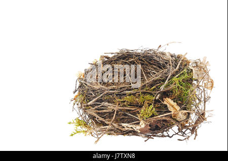 Isolato bird nest indoor di esclusione vuoto vicino ancora oggetto della vita macro di oggetti Foto Stock