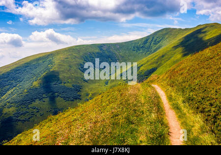 Strada tortuosa attraverso grandi prati sul pendio della montagna dei Carpazi gamma Foto Stock