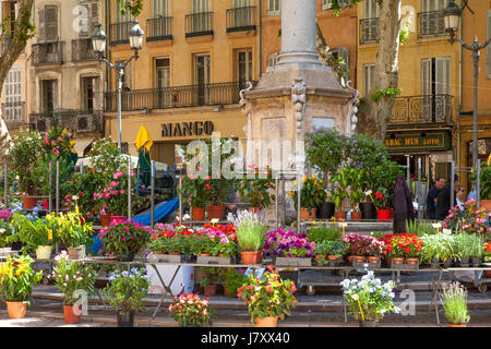 Settimanalmente il mercato dei fiori a Place de l'Hotel de Ville, Aix-en-Provence, Francia Foto Stock