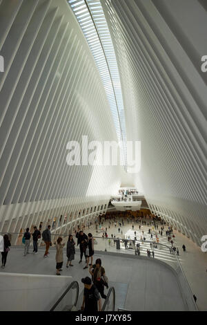 World Trade Center hub di trasporto e Westfield World Trade Center shopping mall noto come l'occhio new york city usa Foto Stock