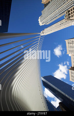 World Trade Center hub di trasporto e Westfield World Trade Center shopping mall noto come l'occhio new york city usa Foto Stock