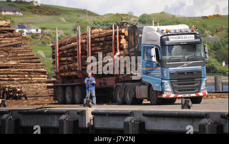 Legname su automezzo pesante al porto di Campbeltown kintyre Scozia UK Foto Stock