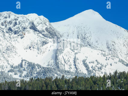 la cima della sacagawea innevata nella catena montuosa delle bridger vicino a bozeman, montana Foto Stock