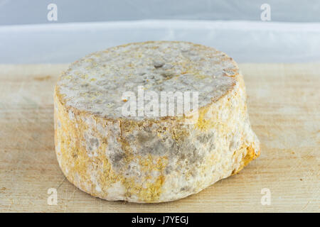 La forma di formaggio a pasta dura di una crosta bloomy latte di capra, il gelo crosta, di trattamento attraverso un apposito stampo del genere Penicillium, come Penicillium camemb Foto Stock