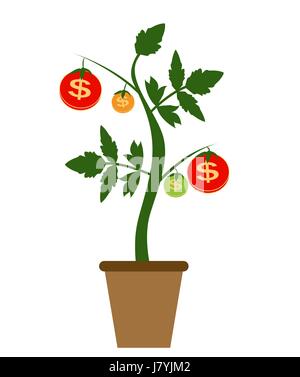 Colorato Money Tree, la dipendenza della crescita finanziaria concetto piana. Illustrazione Vettoriale