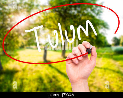 Man mano che scrive Tulum con pennarello nero su schermo visivo. Isolato sulla natura. Business, tecnologia internet concetto. Stock Photo Foto Stock