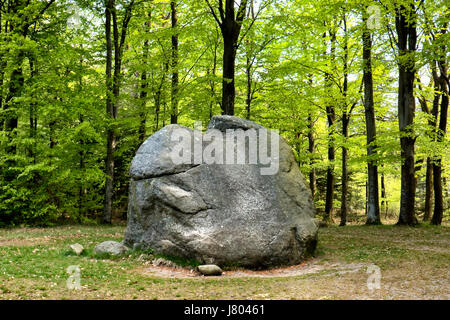 Glaciale Tirslundstenen big rock in Tirslund, Esbjerg, Danimarca Foto Stock