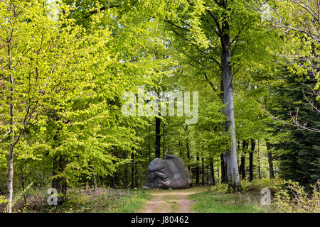 Glaciale Tirslundstenen big rock in Tirslund, Esbjerg, Danimarca Foto Stock