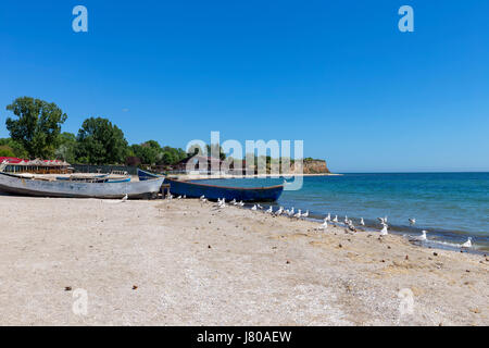 Barche e seagull sulla spiaggia in Est Europa presso il Mar Nero Foto Stock