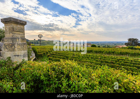 Francia, Gironde, Saint Emilion, classificato come patrimonio mondiale dall UNESCO, Vigna di Saint Emilion Grand Cru AOC Chateau Ausone Foto Stock