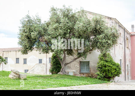 San Gavino basilica, Porto Torres, in Sardegna, ho Foto Stock