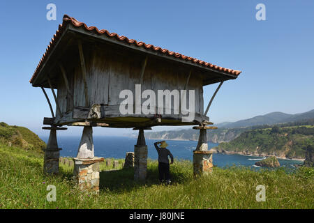 Horreo tradizionale Asturias granaio arroccato su scogliere che domina l'Atlantico a Cadavedo, Asturie, Spagna. Spagna costa settentrionale spagna agricoltura Foto Stock