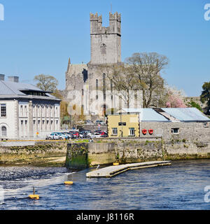 Irlanda, County Limerick, città di Limerick, St Marys Chiesa di Irlanda Cattedrale noto anche come Cattedrale di Limerick con il fiume Shannon nell'foregroun Foto Stock