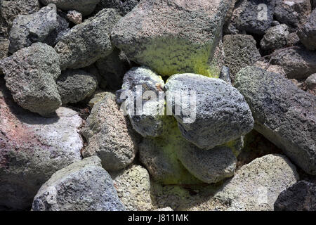 In prossimità delle rocce basaltiche nel Parco Nazionale dei Vulcani delle Hawaii, Foto Stock