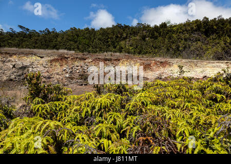 Paesaggio selvaggio lungo le rive di zolfo trail nel Parco Nazionale dei Vulcani delle Hawaii. Foto Stock