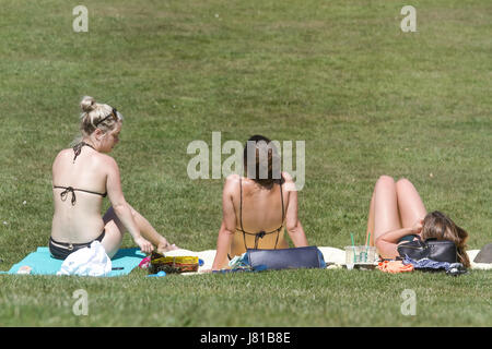 Londra, Regno Unito. 26 Maggio, 2017. La gente a prendere il sole in Greenwich Park il giorno più caldo dell'anno Credito: amer ghazzal/Alamy Live News Foto Stock