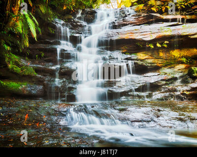 Che scorre acqua fredda pulita corrente di Somersby cadere vicino Gosford sulla costa centrale dell'Australia. La foresta pluviale sempreverde e rocce di arenaria naturale forma cre Foto Stock