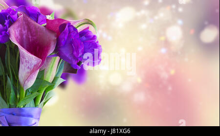 Calla lilly eustoma e bouquet di fiori close up banner Foto Stock